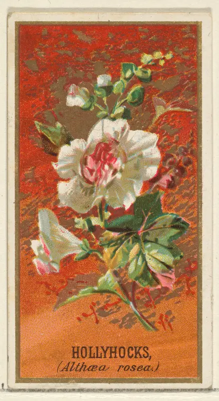 Hollyhocks (Althea rosea), from the Flowers series for Old Judge Cigarettes Wall Art by Goodwin & Company - High-Resolution Digital Print