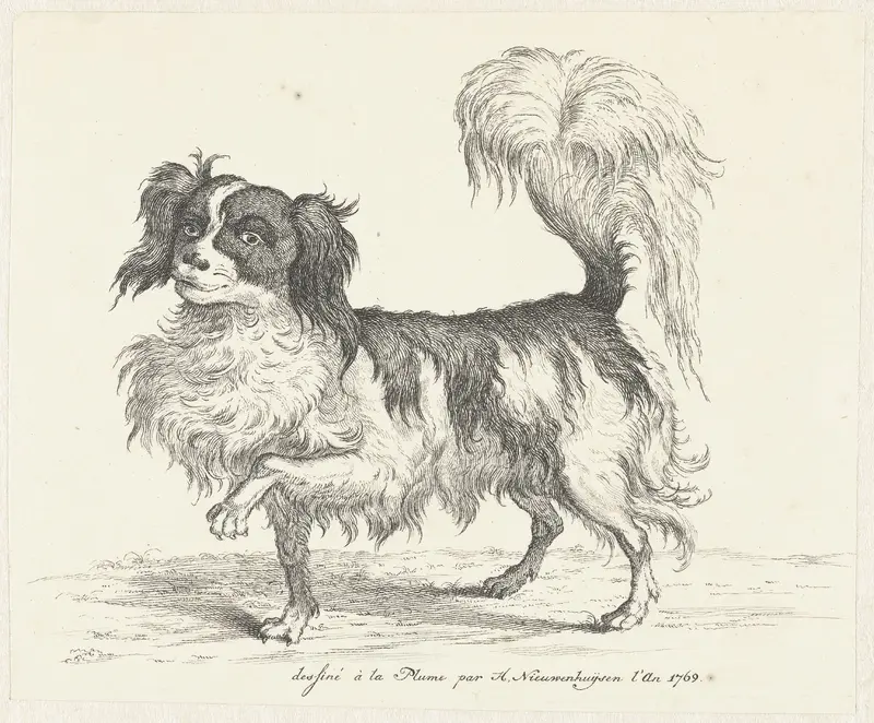Hond Wall Art by Hendrik Nieuwenhuysen - High-Resolution Digital Print