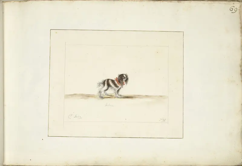 Hond Acteon Wall Art by Unknown - High-Resolution Digital Print