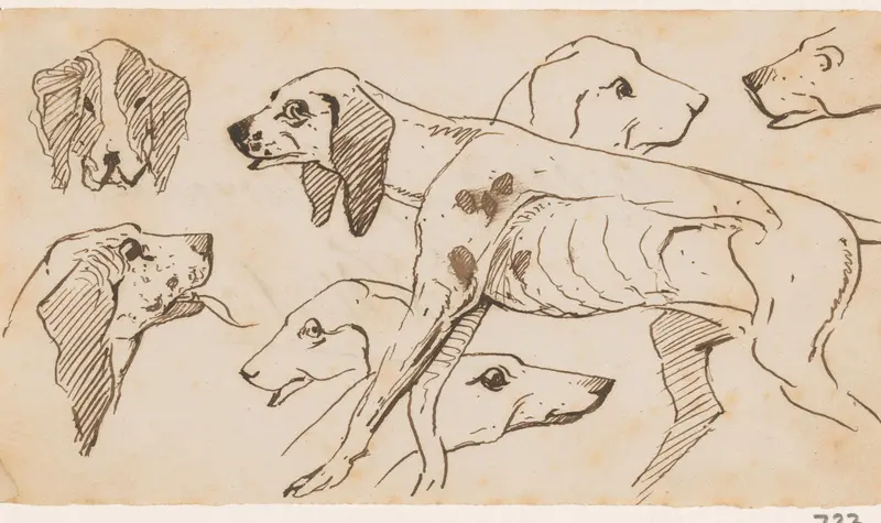 Hond en hondenkoppen Wall Art by Unknown - High-Resolution Digital Print
