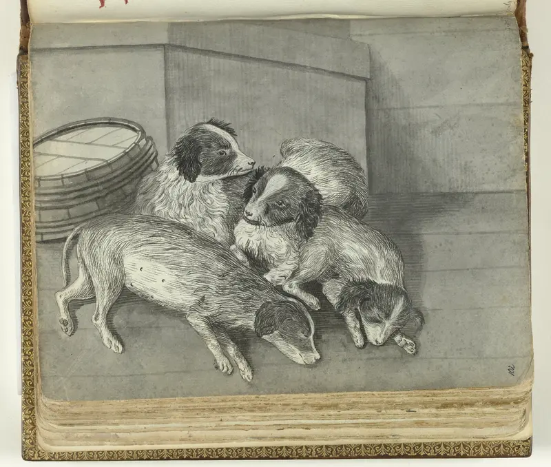 Honden Wall Art by Jan Brandes - High-Resolution Digital Print