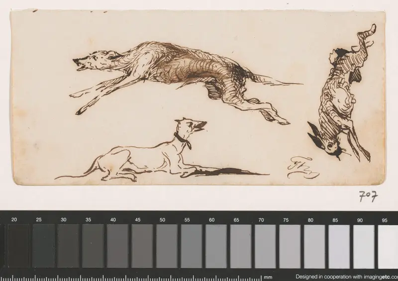 Honden en haas Wall Art by Unknown - High-Resolution Digital Print