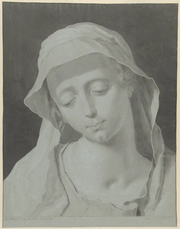 Hoofd van een gesluierde vrouw Wall Art by Cornelis van Noorde - High-Resolution Digital Print