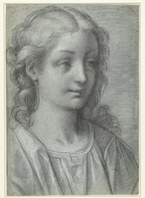 Hoofd van een jong meisje met krullend haar en stralenkrans Wall Art by anonymous - High-Resolution Digital Print