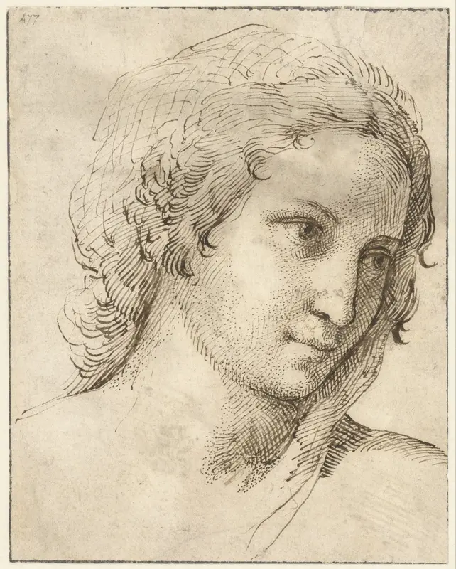 Hoofd van een jonge vrouw met een sluier Wall Art by Unknown - High-Resolution Digital Print