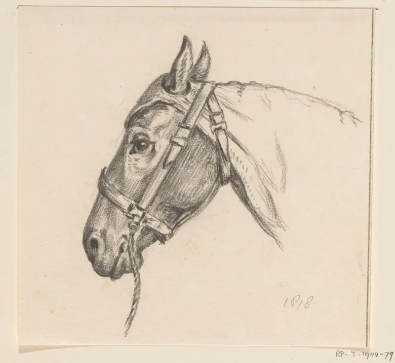 Hoofd van een paard met een kap op, naar links Wall Art by Jean Bernard - High-Resolution Digital Print