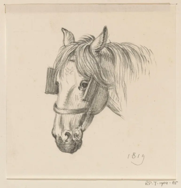 Hoofd van een paard met oogkleppen, naar links Wall Art by Jean Bernard - High-Resolution Digital Print