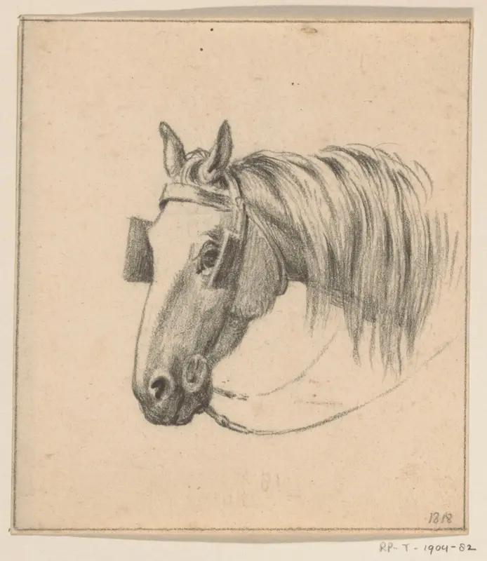 Hoofd van een paard met oogkleppen op, naar links Wall Art by Jean Bernard - High-Resolution Digital Print