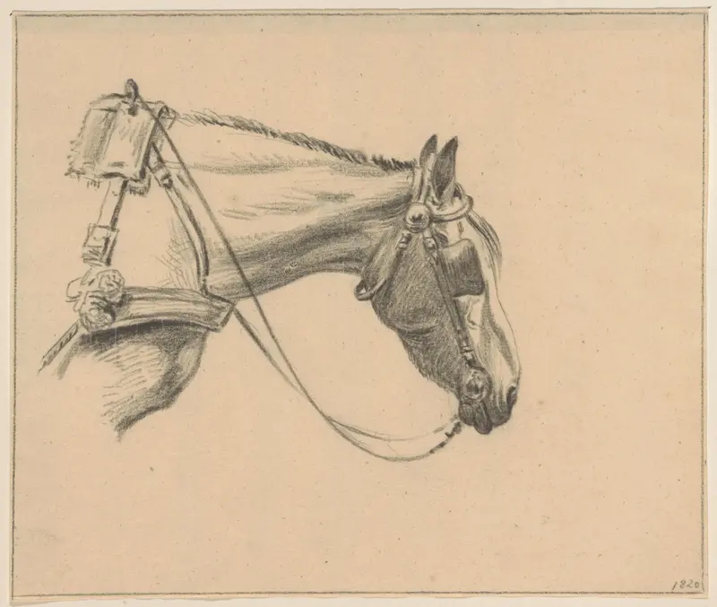Hoofd van een paard met oogkleppen op, naar rechts Wall Art by Jean Bernard - High-Resolution Digital Print
