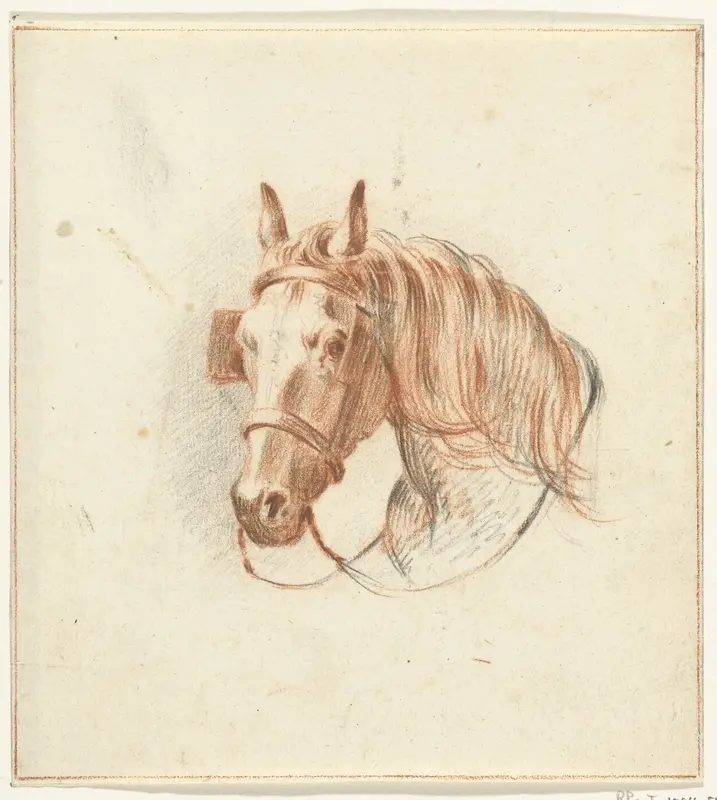 Hoofd van een paard met oogkleppen, van voren Wall Art by Jean Bernard - High-Resolution Digital Print