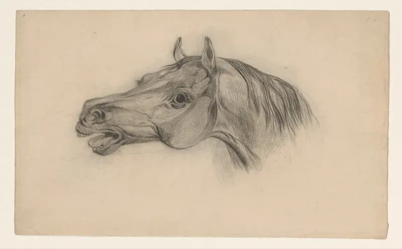 Hoofd van een paard, naar links Wall Art by Johannes Tavenraat - High-Resolution Digital Print