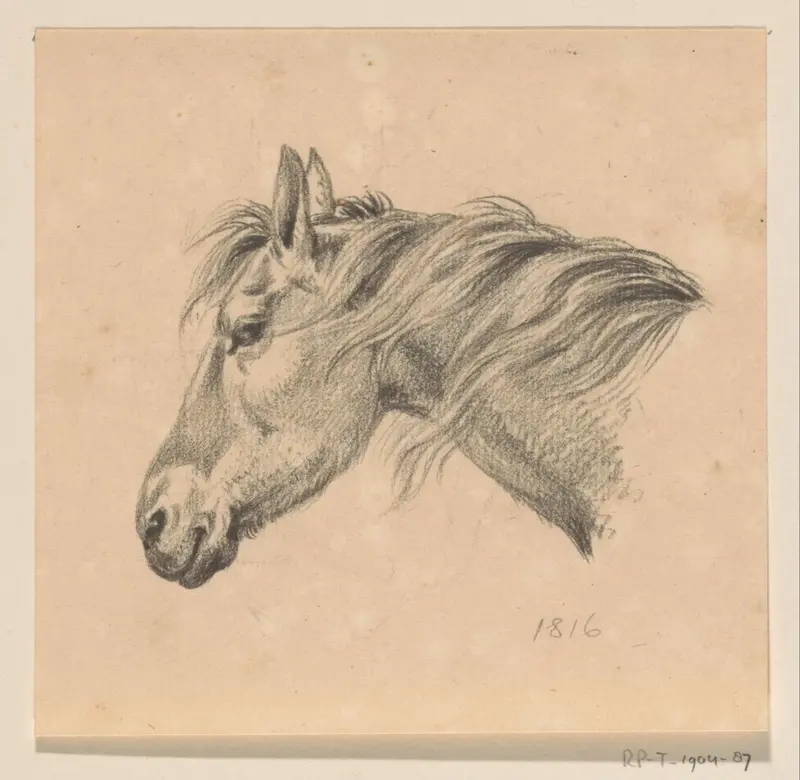 Hoofd van een paard, naar links Wall Art by Jean Bernard - High-Resolution Digital Print