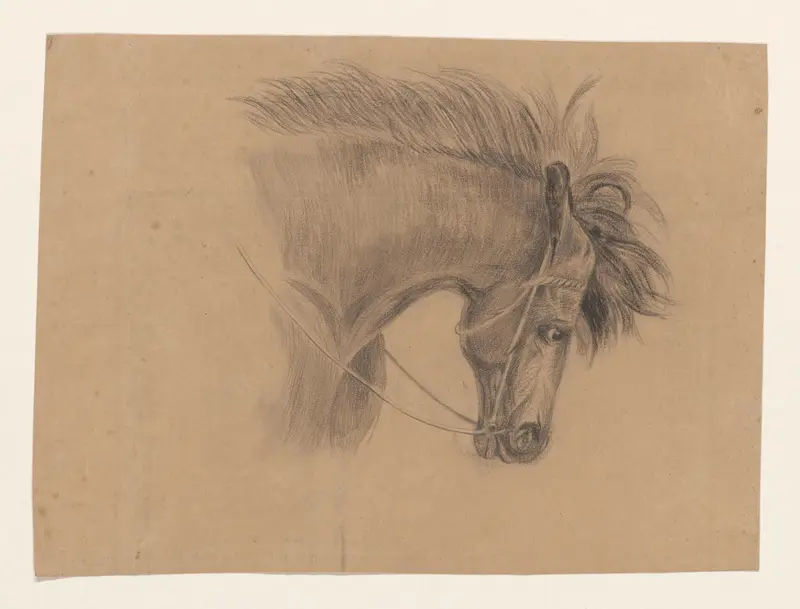 Hoofd van een paard, naar rechts Wall Art by Johannes Tavenraat - High-Resolution Digital Print