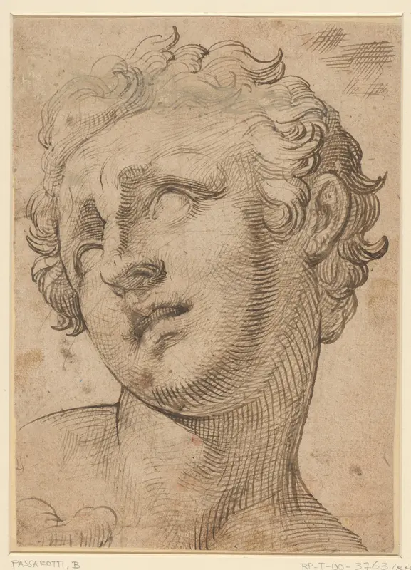 Hoofd van een zoon van Laocoön Wall Art by Unknown - High-Resolution Digital Print
