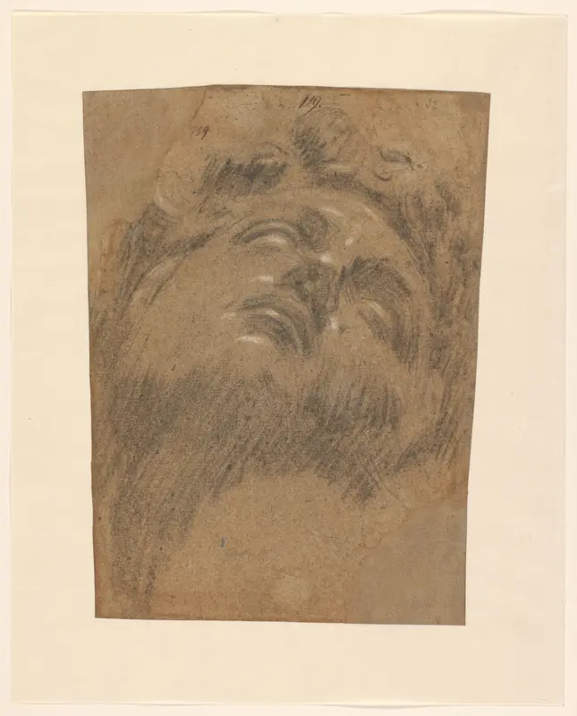 Hoofd van Giuliano dei Medici Wall Art by Jacopo Tintoretto - High-Resolution Digital Print