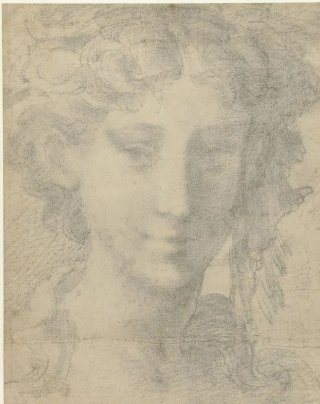Hoofd van vrouw Wall Art by Parmigianino - High-Resolution Digital Print