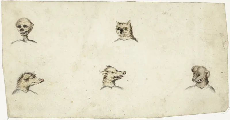 Hoofden van vier dieren en een skelet Wall Art by Harmen ter Borch - High-Resolution Digital Print