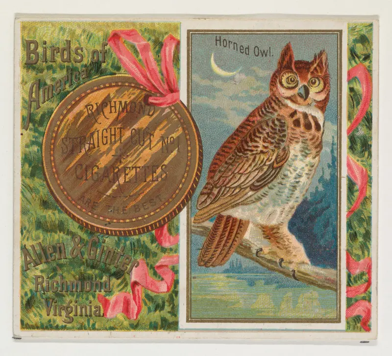 Horned Owl, from the Birds of America series (N37) for Allen & Ginter Cigarettes Wall Art by Allen & Ginter - High-Resolution Digital Print