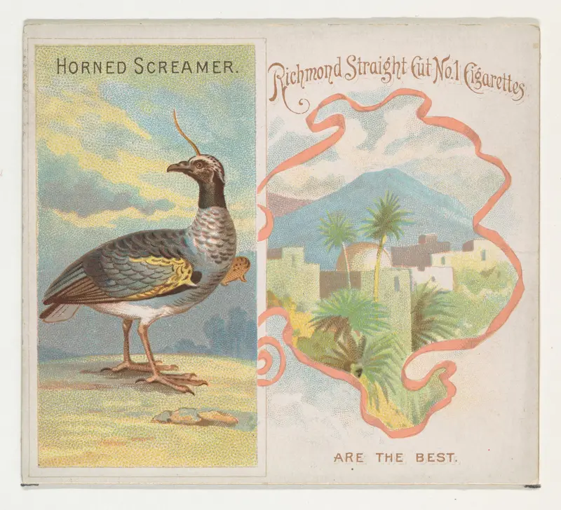 Horned Screamer, from Birds of the Tropics series (N38) for Allen & Ginter Cigarettes Wall Art by Allen & Ginter - High-Resolution Digital Print