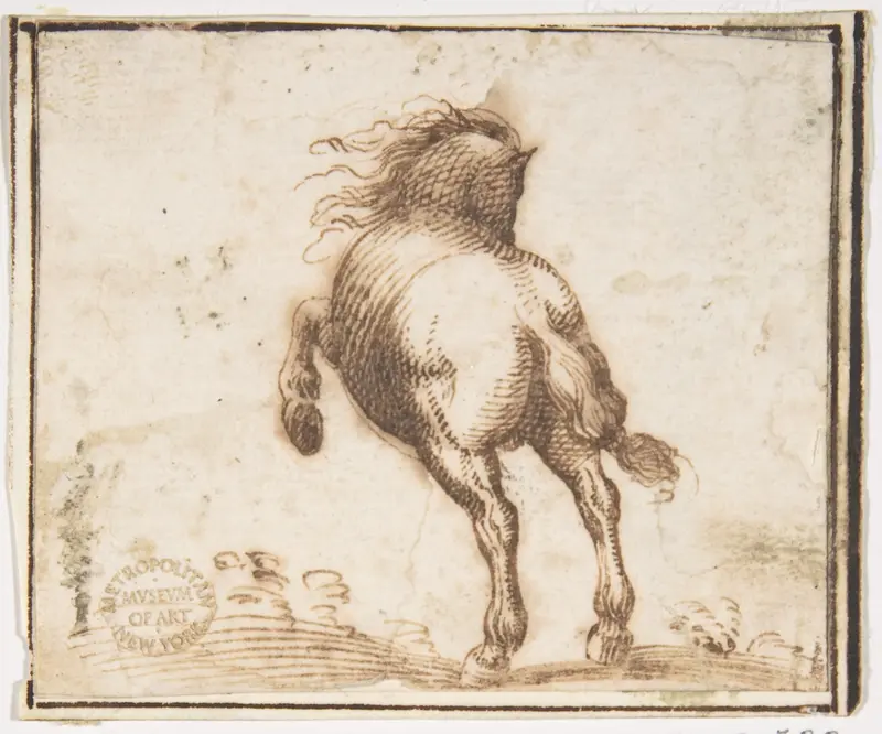 Horse Wall Art by Francesco Allegrini - High-Resolution Digital Print