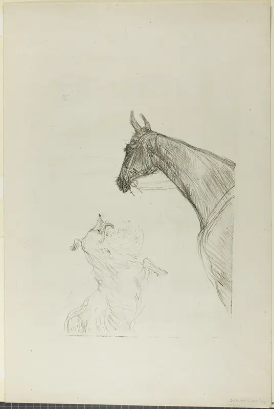 Horse and Collie