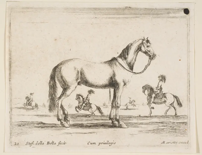 Horse, plate 21 from "Various Animals" (Diversi Animali) Wall Art by Stefano della Bella - High-Resolution Digital Print