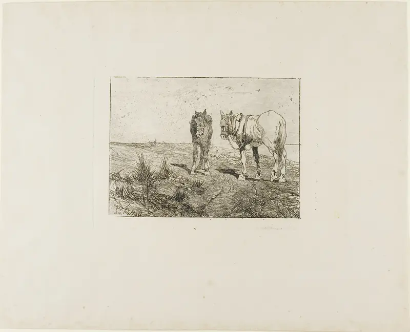 Horses' Rest