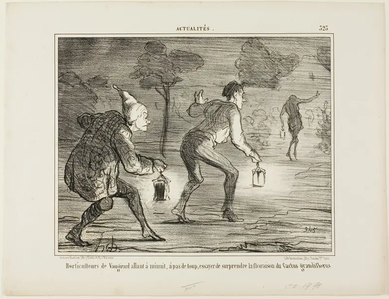 Horticulturists of Nanterre tiptoeing at midnight towards the cactus grandiflorus in order to surprise it in its blossoming, plate 323 from Actualités