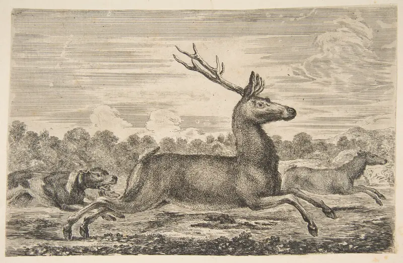 Hounds Chasing a Stag and a Doe Wall Art by Stefano della Bella - High-Resolution Digital Print