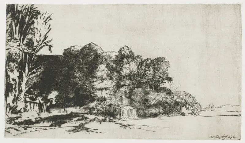 Huis verscholen tussen bomen Wall Art by Unknown - High-Resolution Digital Print