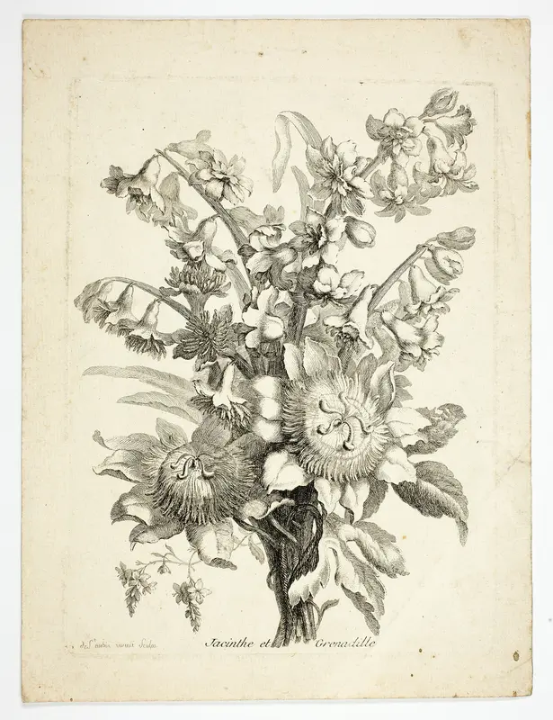 Hyacinthe and Passion Fruit Flower, plate two from Mes Petits Bouquets