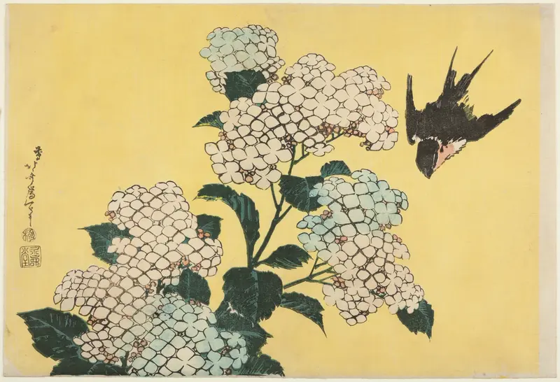 Hydrangea and Swallow, from an untitled series of large flowers
