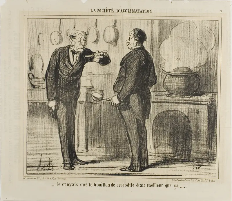 “- I actually thought a crocodile soup would taste better than that,” plate 7 from La Sopciété D'acclimatation