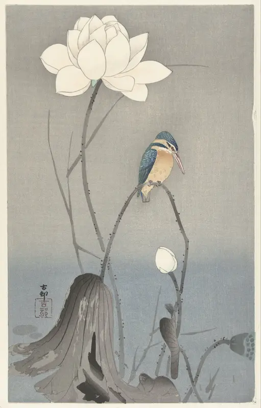 IJsvogel bij lotusbloem Wall Art by Unknown - High-Resolution Digital Print