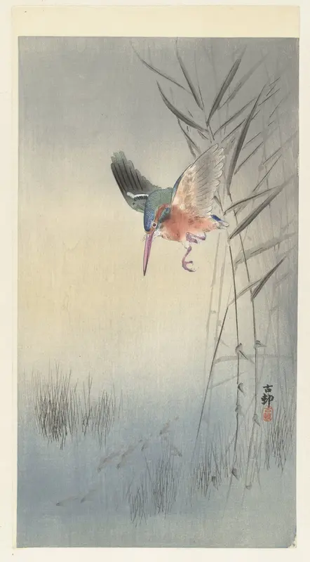 IJsvogel jagend op vis Wall Art by Unknown - High-Resolution Digital Print