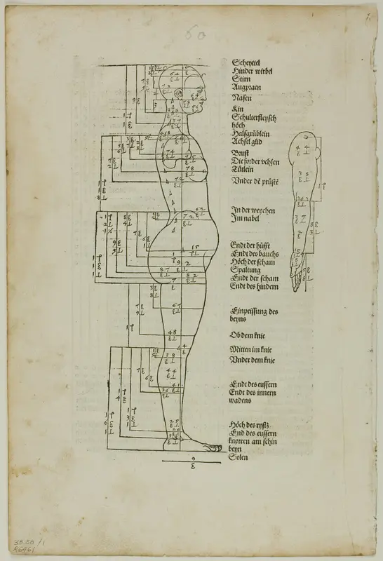 Illustration to Vier Bücher von der Menschlichen Proportion, plate one from Woodcuts from Books of the XVI Century