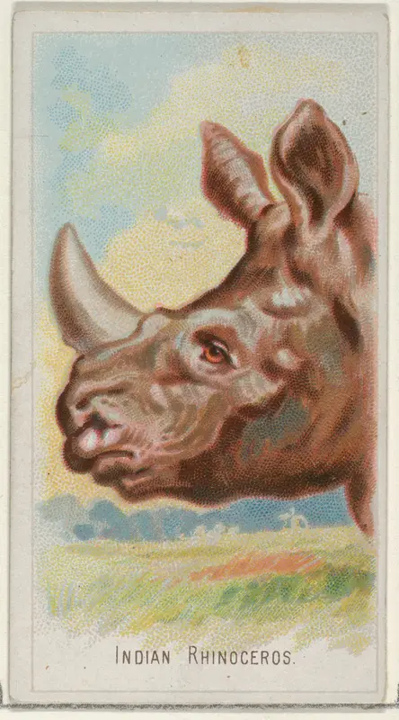 Indian Rhinoceros, from the Wild Animals of the World series (N25) for Allen & Ginter Cigarettes Wall Art by Allen & Ginter - High-Resolution Digital Print