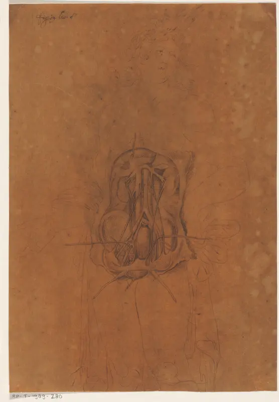 Ingewanden van een vrouw Wall Art by anonymous - High-Resolution Digital Print