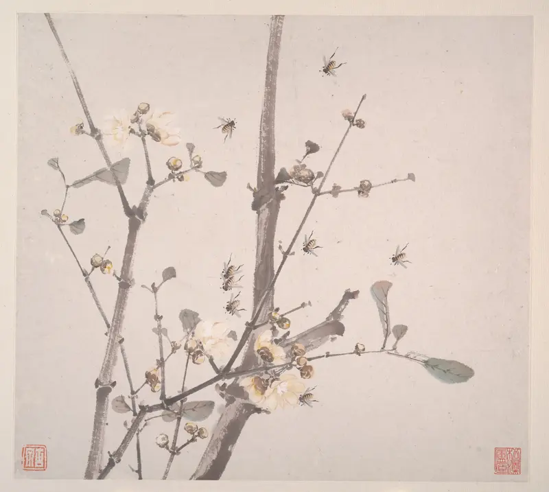 Insects and Flowers