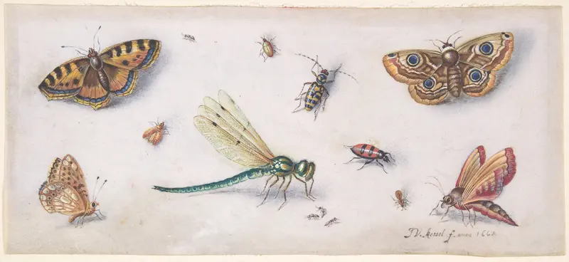 Insects, Butterflies, and a Dragonfly Wall Art by Jan van Kessel - High-Resolution Digital Print