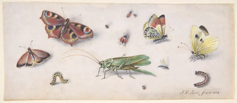 Insects, Butterflies, and a Grasshopper Wall Art by Jan van Kessel - High-Resolution Digital Print