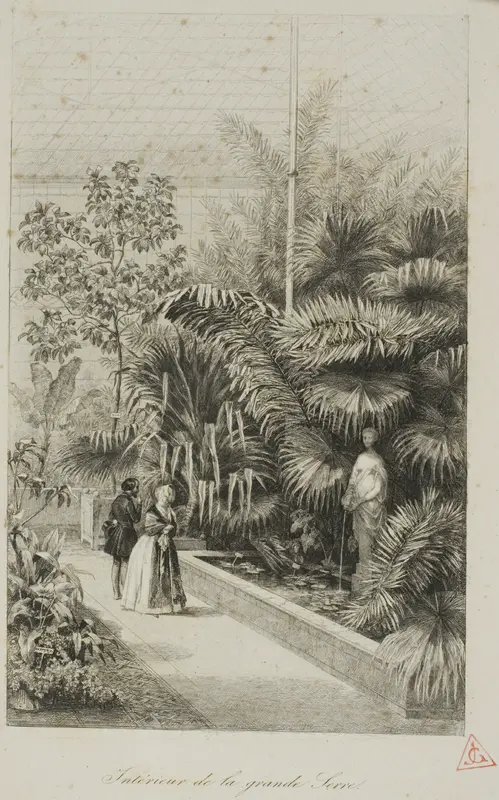 Interior of the Large Greenhouse Wall Art by Charles François Daubigny - High-Resolution Digital Print