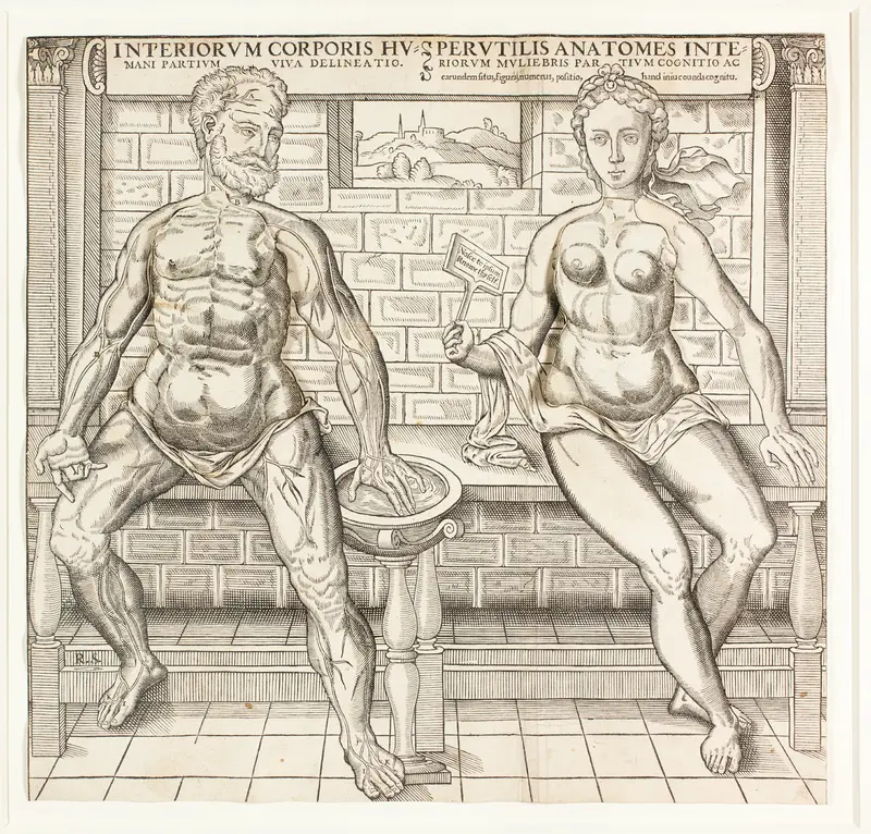 Interiorum corporis humani partium viva delineatio, from the second edition of the Compendiosa totius anatomie delineation Wall Art by Monogrammist R. S. - High-Resolution Digital Print