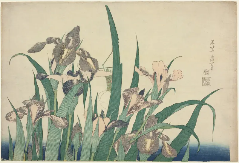 Iris and Grasshopper, from an untitled series of large flowers
