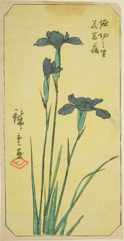 Iris at Horikiri Village (Horikiri no sato hanashobu), section of a sheet from the series "Cutout Pictures of Famous Places in Edo (Edo meisho harimaze zue)" Wall Art by Utagawa Hiroshige - High-Resolution Digital Print