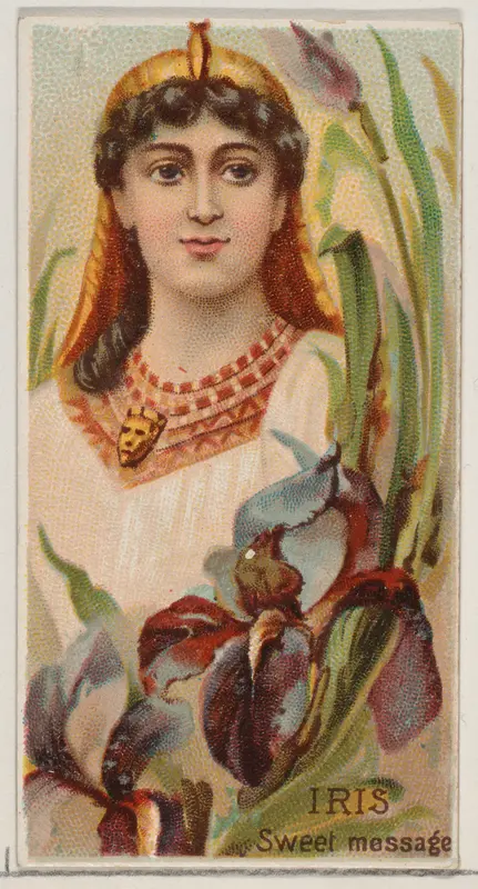 Iris: Sweet Message, from the series Floral Beauties and Language of Flowers (N75) for Duke brand cigarettes Wall Art by American Tobacco Company - High-Resolution Digital Print