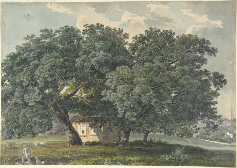 Italian Landscape with Trees (recto) Wall Art by Friedrich Salathé - High-Resolution Digital Print