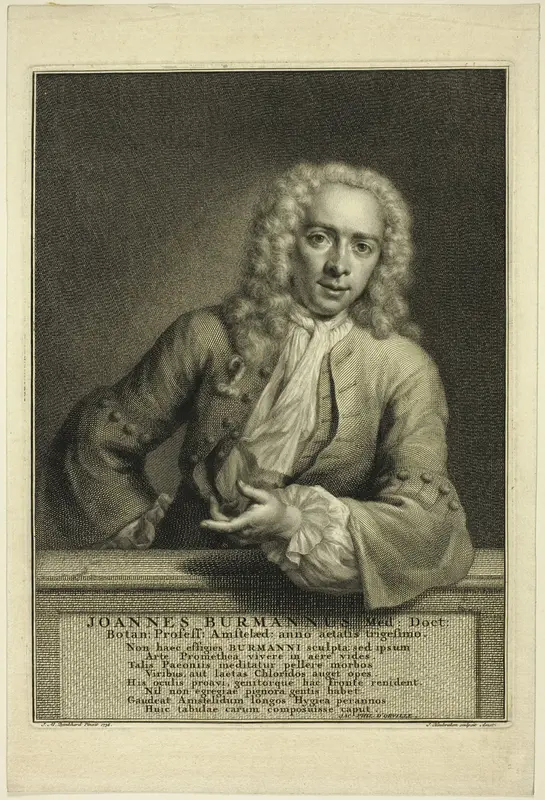 J. Burmannus Wall Art by Jacobus Houbraken - High-Resolution Digital Print