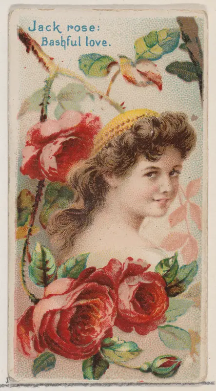 Jack Rose: Bashful Love, from the series Floral Beauties and Language of Flowers (N75) for Duke brand cigarettes Wall Art by American Tobacco Company - High-Resolution Digital Print