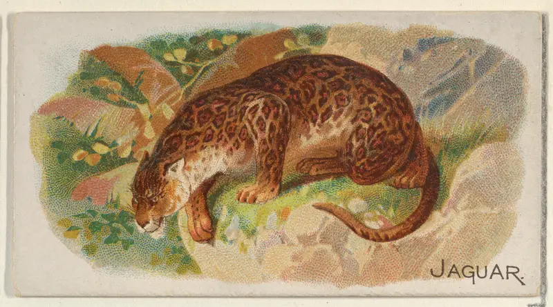 Jaguar, from the Quadrupeds series (N21) for Allen & Ginter Cigarettes Wall Art by Allen & Ginter - High-Resolution Digital Print